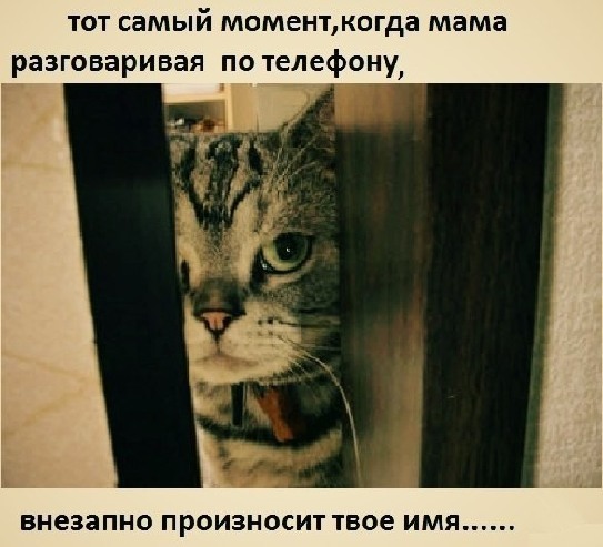 Картинка с надписью меня нет дома, картинки надписями слез