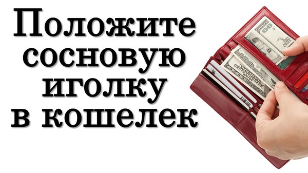 Положите сосновую иголку в кошелек в декабре • Эзотерика для Тебя

https://youtu.be/jXKKaOPU5Pw