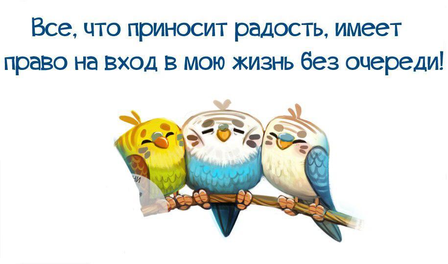 Радостью надо делиться только с теми кому в радость ваша радость картинки с надписями