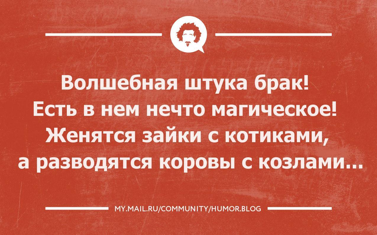 лыжи были замужество картинки юмор для себя красивый