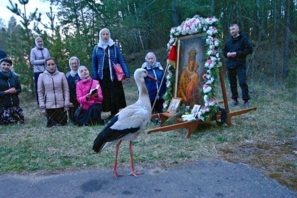 Всякое дыхание да хвалит господа картинки