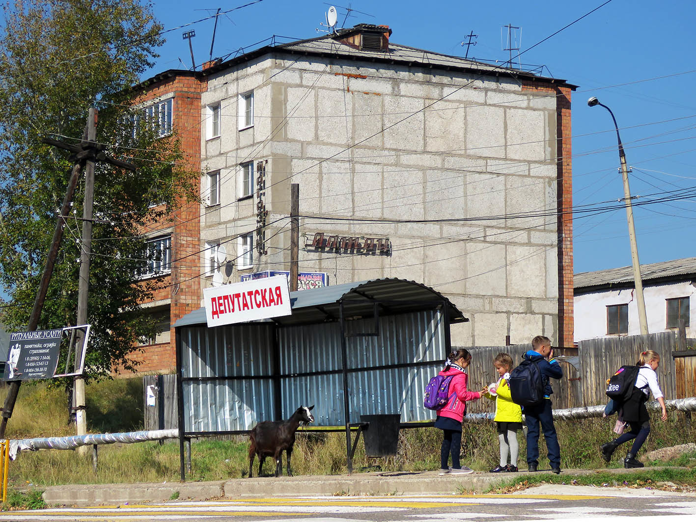 БАМ! Часть 13: от Байкала до Лены