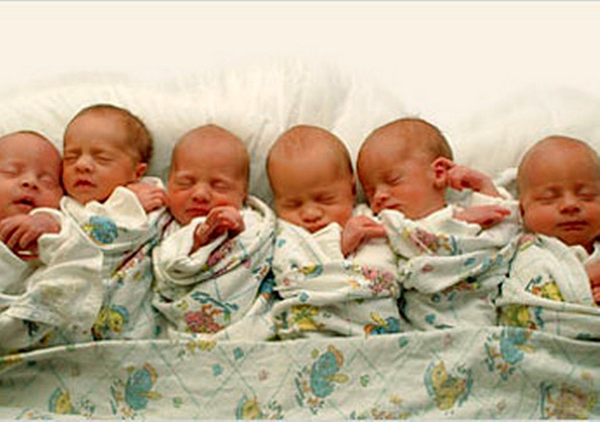 Сколько женщина может родить за раз детей. Многоплодная беременность четверня. Новорождённые дети много. Много двойняшек. Куча близнецов.