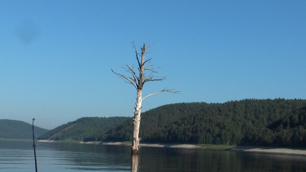 Огур красноярского. Залив огур Красноярское море. Красноярское водохранилище под водой. Березка Красноярское море. Красноярское водохранилище весной.